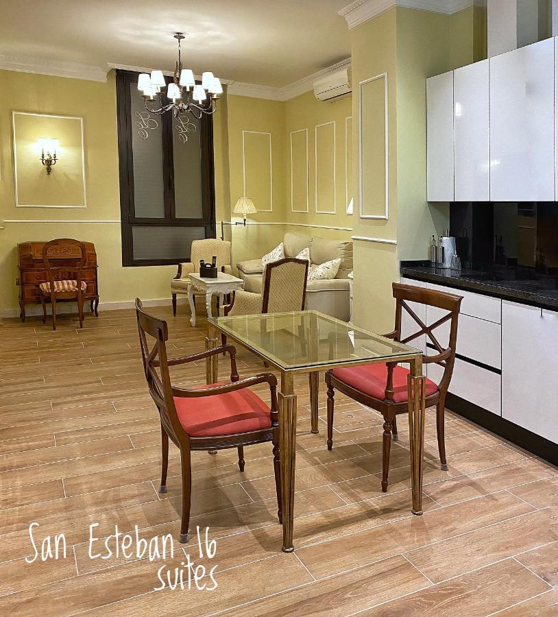 San Esteban 16 Ducal Appartement